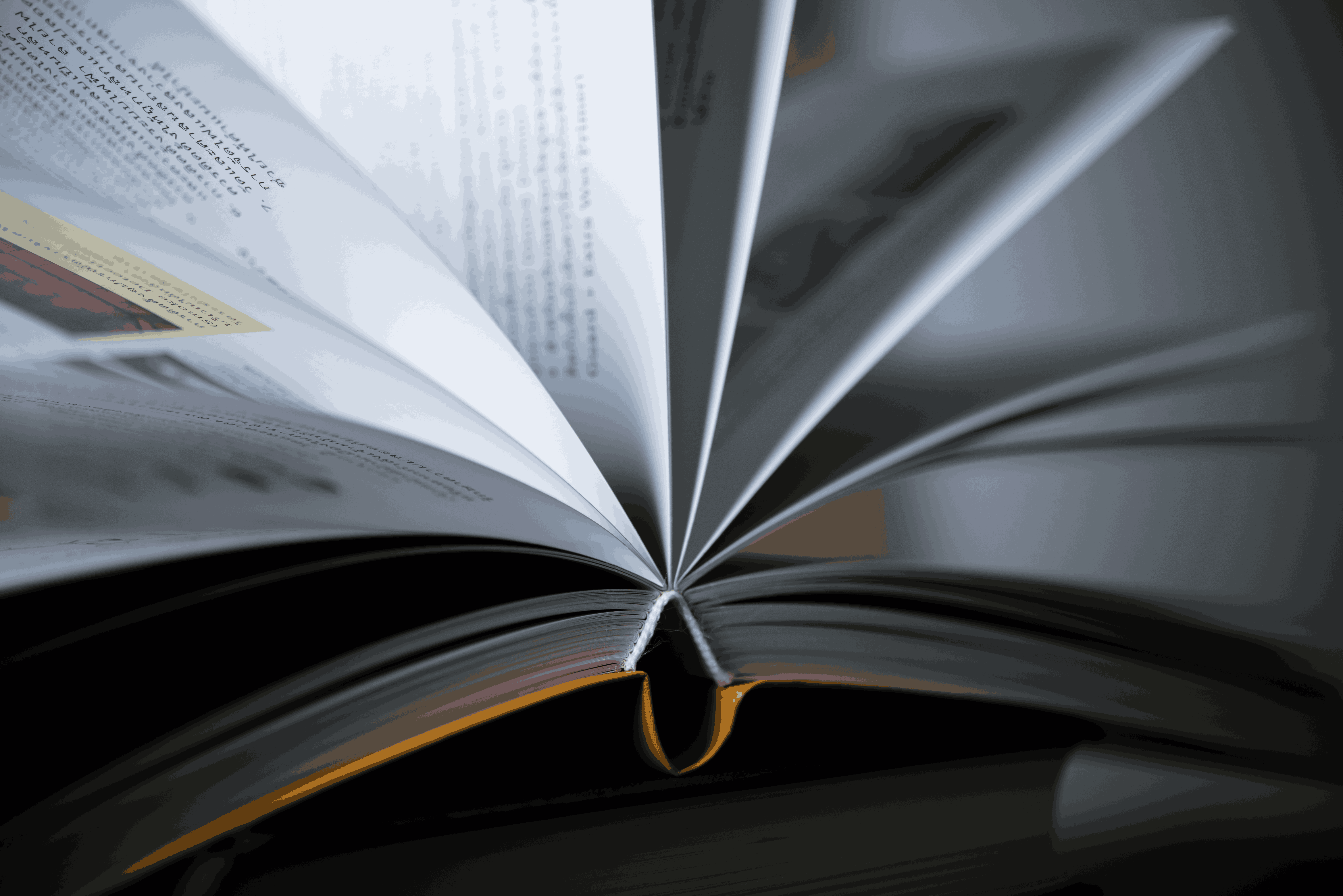Matte vs Glossy Paper: Which Is Right For Print?